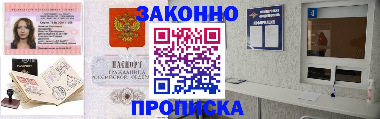 прописка в квартире в Щёлкино